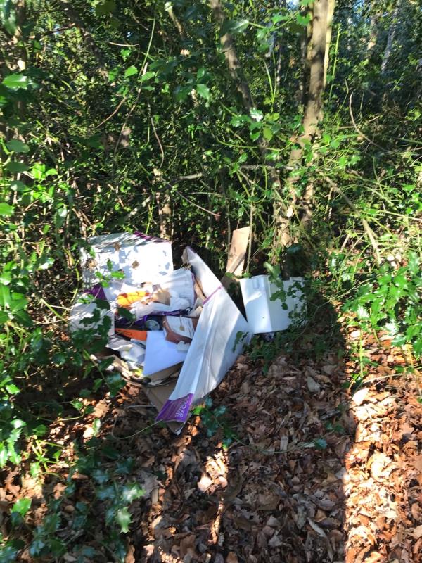 End of woodlands road on the right hand side of the turning circle. Toilet, basin and other accompanying rubbish. -64 Woodlands Road, Farnborough, GU14 9QF