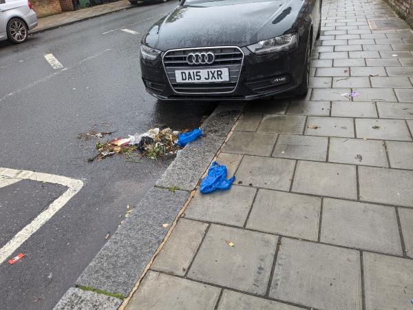 Spilt litter-74 Manwood Road, London, SE4 1SB