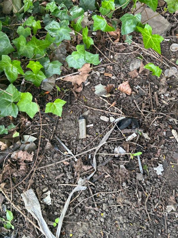 Drug needles in the park, when on walk with the councillor and newham council I came across used needles. The needles is on the lines of bushes next to 61 William Morley close it’s the fence shared with the park -61 William Morley Close, East Ham, London, E6 1QZ