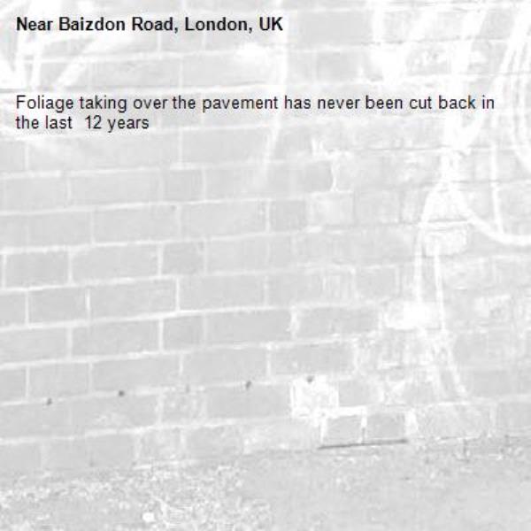 Foliage taking over the pavement has never been cut back in the last  12 years -Baizdon Road, London, UK