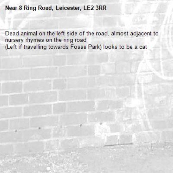 Dead animal on the left side of the road, almost adjacent to nursery rhymes on the ring road 
(Left if travelling towards Fosse Park) looks to be a cat-8 Ring Road, Leicester, LE2 3RR