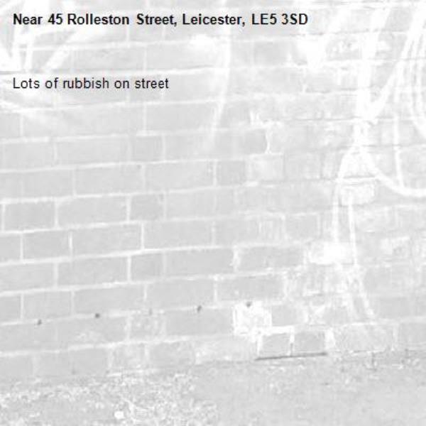 Lots of rubbish on street-45 Rolleston Street, Leicester, LE5 3SD