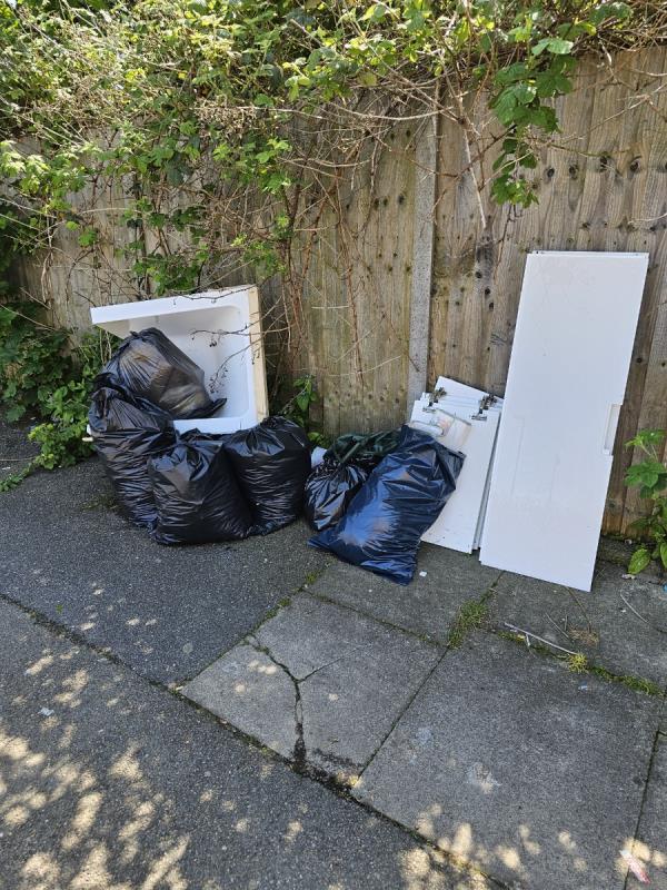 Bags of rubbish and cabinet doors dumped.-380 Shroffold Road, Bromley, BR1 5JE