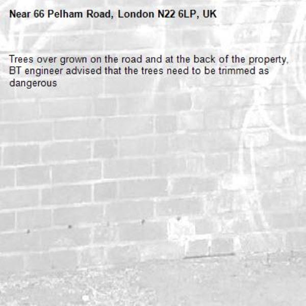 Trees over grown on the road and at the back of the property, BT engineer advised that the trees need to be trimmed as dangerous -66 Pelham Road, London N22 6LP, UK