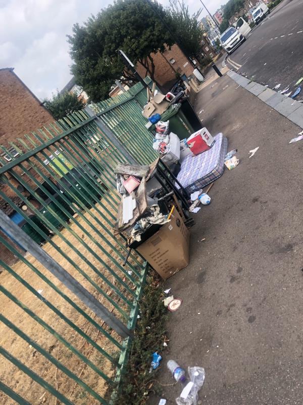 Rubbish, overflowing bins and fly tipped broken items left on pavement.-110 Courthill Road, London, SE13 6DN