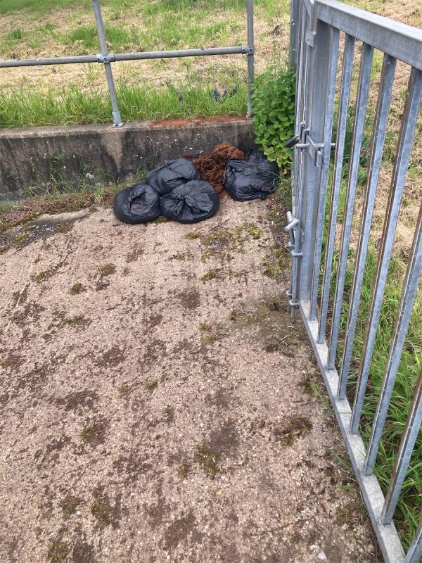 Fly tipping of black bags and close to the brook . Please sort this issue out because it could become a environmental issue-19 Ocean Road, Leicester, LE5 2ER