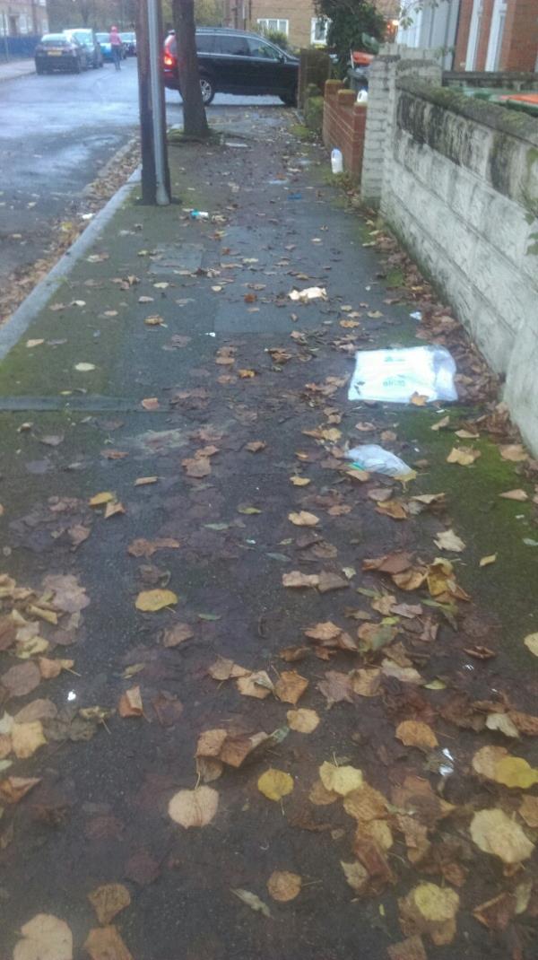 Pavements and gutters totally full of rubbish and leaves. No cleaning happens regularly. Drains get blocked from lack of regular sweeping. Where is newham council?-74 Colchester Avenue, Little Ilford, E12 5LE, England, United Kingdom