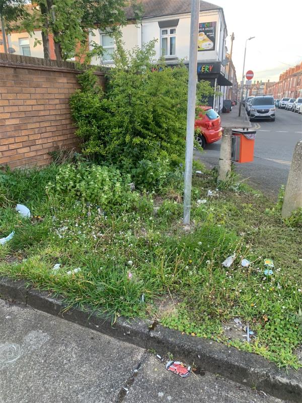 Rubbish and over grown bushes -26 Polaris Close, Leicester, LE2 0UQ