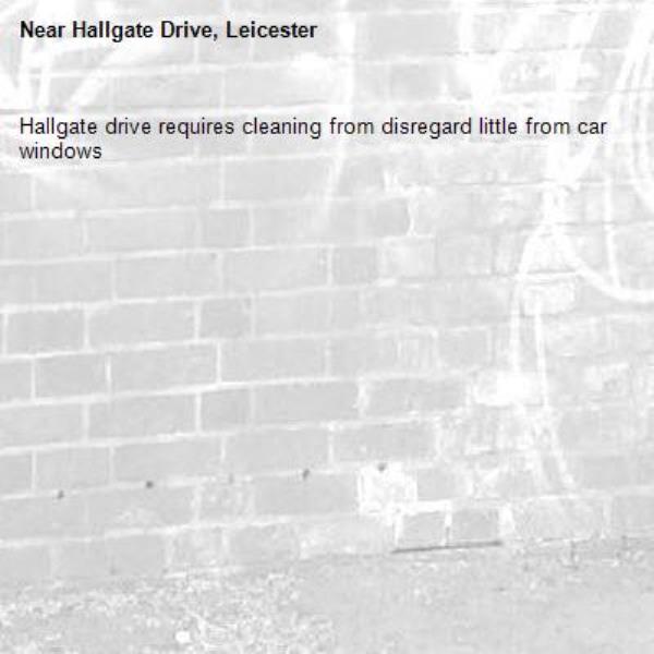 Hallgate drive requires cleaning from disregard little from car windows-Hallgate Drive, Leicester