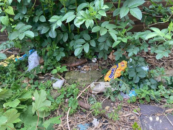 Back communal garden of 1-15 Daines close not cleaned from the last 4 weeks -1 Daines Close, Manor Park, London, E12 5LQ