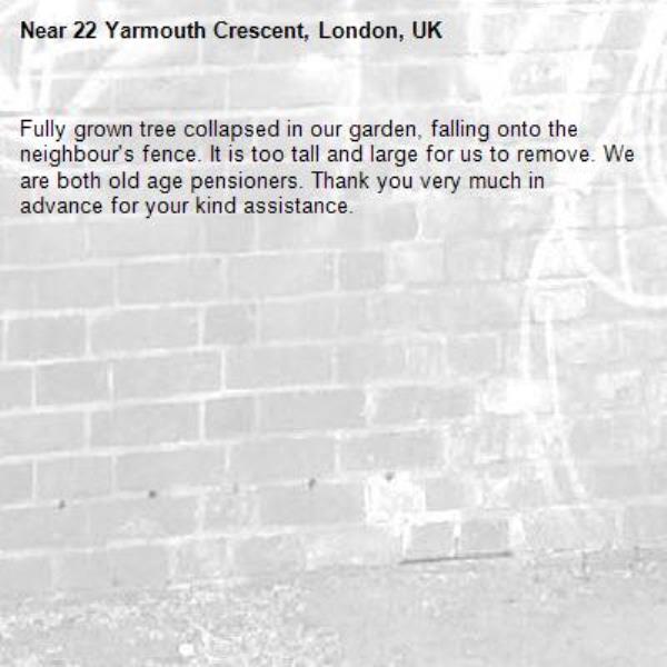 Fully grown tree collapsed in our garden, falling onto the neighbour's fence. It is too tall and large for us to remove. We are both old age pensioners. Thank you very much in advance for your kind assistance.-22 Yarmouth Crescent, London, UK