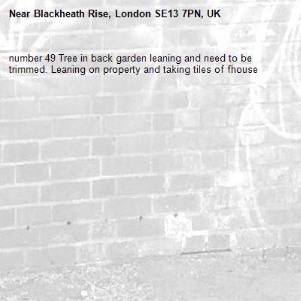 number 49 Tree in back garden leaning and need to be trimmed. Leaning on property and taking tiles of fhouse -Blackheath Rise, London SE13 7PN, UK