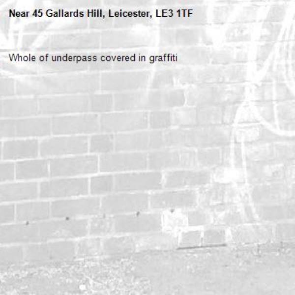 Whole of underpass covered in graffiti -45 Gallards Hill, Leicester, LE3 1TF