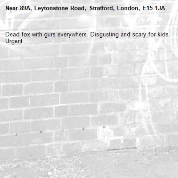 Dead fox with gurs everywhere. Disgusting and scary for kids. Urgent.-89A, Leytonstone Road, Stratford, London, E15 1JA