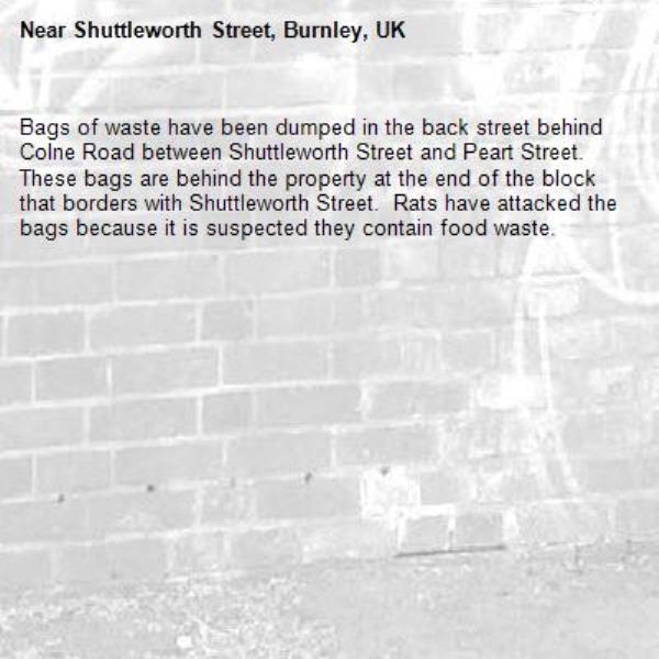 Bags of waste have been dumped in the back street behind Colne Road between Shuttleworth Street and Peart Street.  These bags are behind the property at the end of the block that borders with Shuttleworth Street.  Rats have attacked the bags because it is suspected they contain food waste.-Shuttleworth Street, Burnley, UK