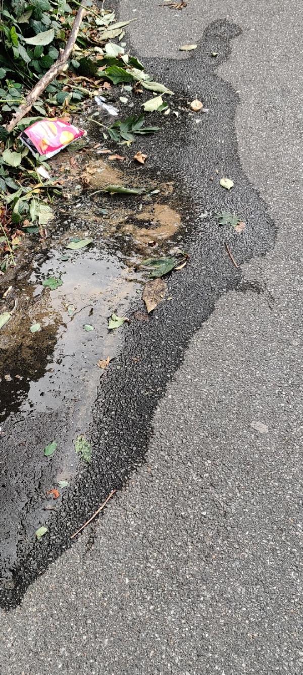 Hole in footpath water leaking out -321 Tollgate Road, Beckton, London, E6 5YF