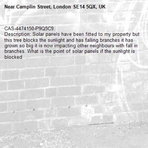 CAS-4474150-P9Q5C9.
Description: Solar panels have been fitted to my property but this tree blocks the sunlight and has falling branches it has grown so big it is now impacting other neighbours with fall in branches. What is the point of solar panels if the sunlight is blocked-Camplin Street, London SE14 5QX, UK
