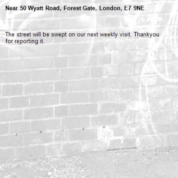The street will be swept on our next weekly visit. Thankyou for reporting it.-50 Wyatt Road, Forest Gate, London, E7 9NE