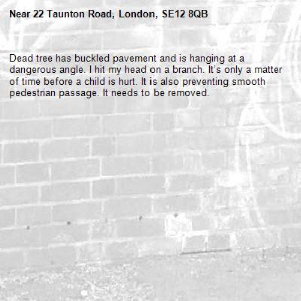 Dead tree has buckled pavement and is hanging at a dangerous angle. I hit my head on a branch. It’s only a matter of time before a child is hurt. It is also preventing smooth pedestrian passage. It needs to be removed. -22 Taunton Road, London, SE12 8QB