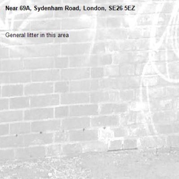 General litter in this area-69A, Sydenham Road, London, SE26 5EZ