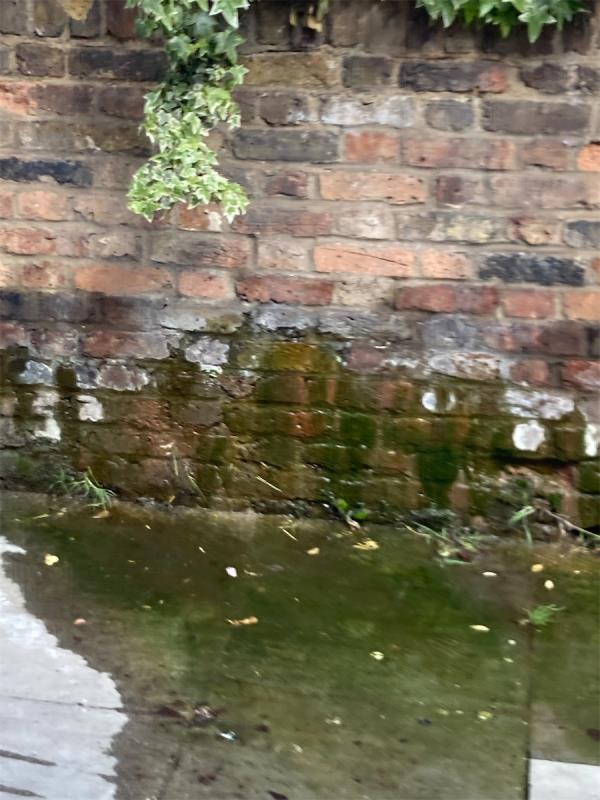 Large water leak, seeping through the brick garden wall onto the pavement across the public walkway. It has been like this for a long time - over a year. Please could you arrange to inspect and repair as it has become very “mossy”/“slippery” so therefore dangerous for pedestrians. Many thanks. -Flat First Floor, 185 Stanstead Road, Catford, London, SE23 1HP