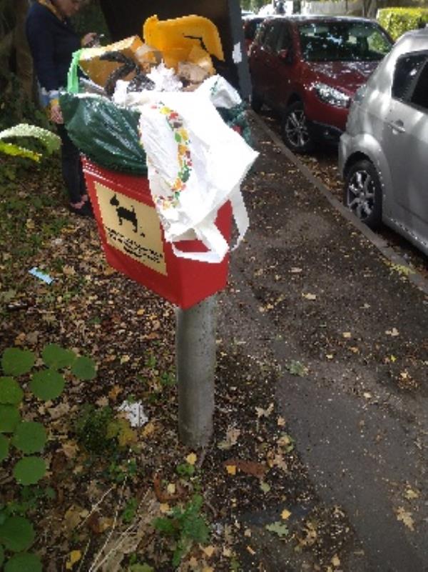 Bin was emptied before report came in on Tuesday,  but needs doing again now anyway as needs doing nearly every other day job done -18 Shilling Close, Tilehurst, RG30 4EW, England, United Kingdom