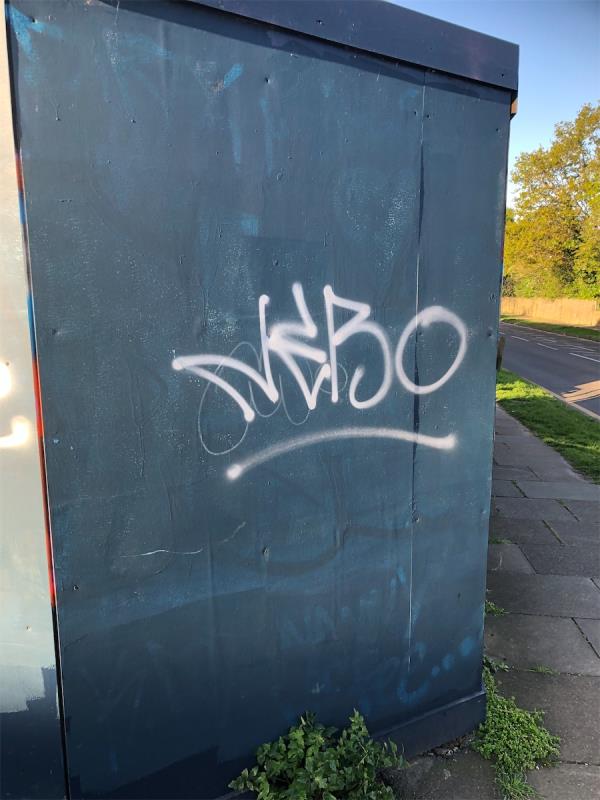 Remove graffiti from haulding-Ground Floor Flat, 134 Worsley Bridge Road, Beckenham, BR3 1RP