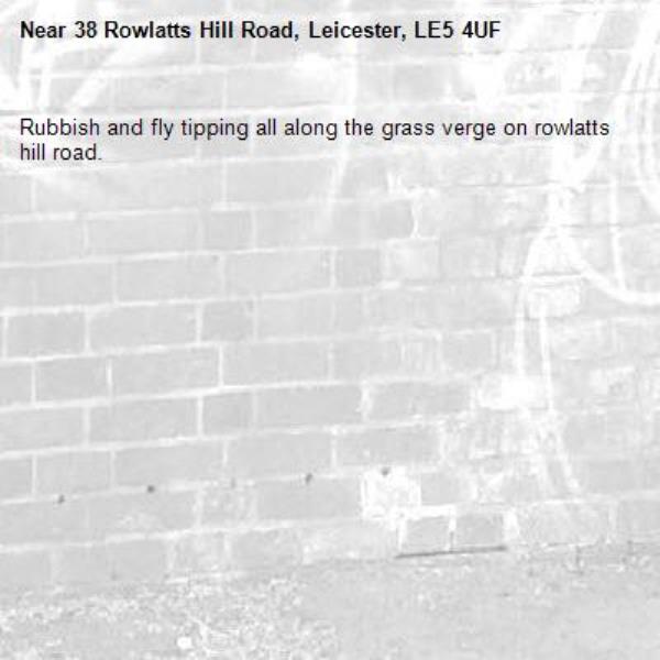 Rubbish and fly tipping all along the grass verge on rowlatts hill road.-38 Rowlatts Hill Road, Leicester, LE5 4UF