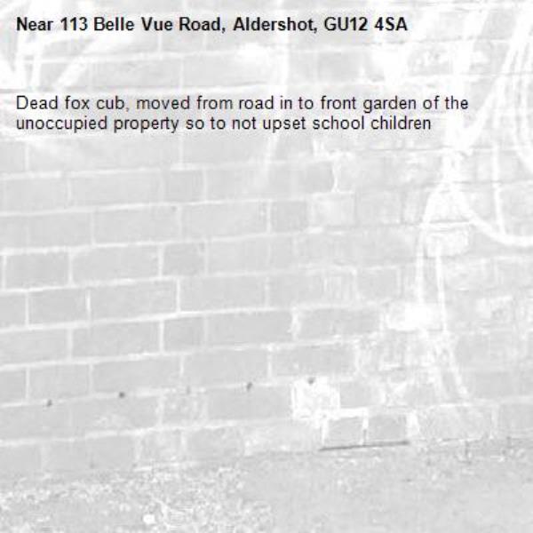 Dead fox cub, moved from road in to front garden of the unoccupied property so to not upset school children-113 Belle Vue Road, Aldershot, GU12 4SA