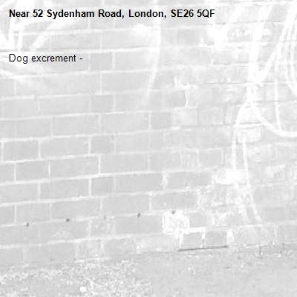 Dog excrement - -52 Sydenham Road, London, SE26 5QF