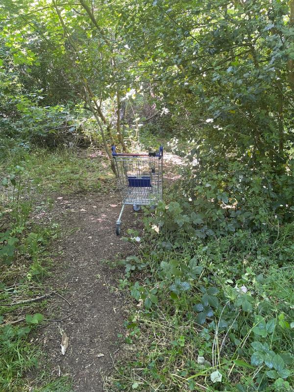 B&M trolley abandoned in woods-Rodway Road, Tilehurst, Reading
