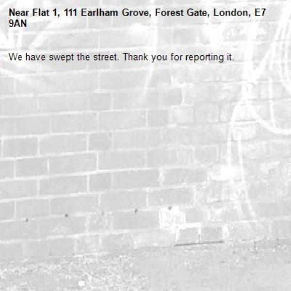 We have swept the street. Thank you for reporting it.-Flat 1, 111 Earlham Grove, Forest Gate, London, E7 9AN