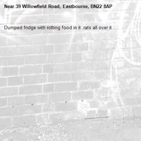 Dumped fridge with rotting food in it .rats all over it-39 Willowfield Road, Eastbourne, BN22 8AP