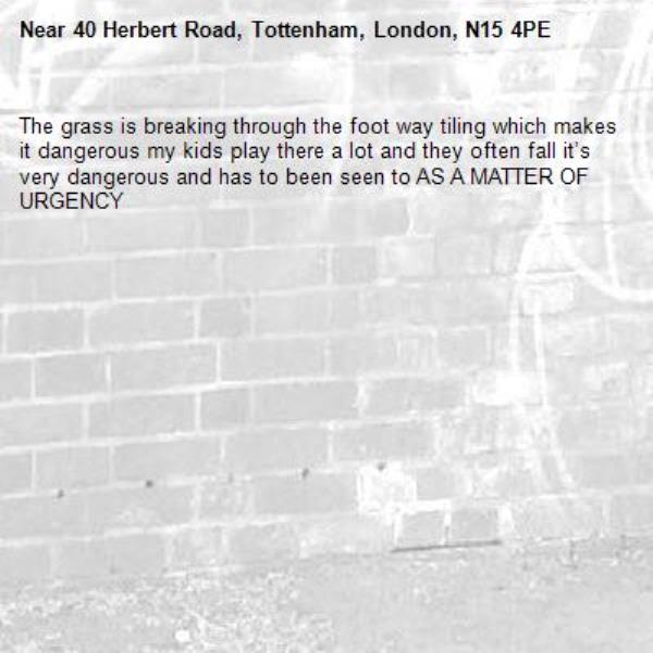 The grass is breaking through the foot way tiling which makes it dangerous my kids play there a lot and they often fall it’s very dangerous and has to been seen to AS A MATTER OF URGENCY -40 Herbert Road, Tottenham, London, N15 4PE