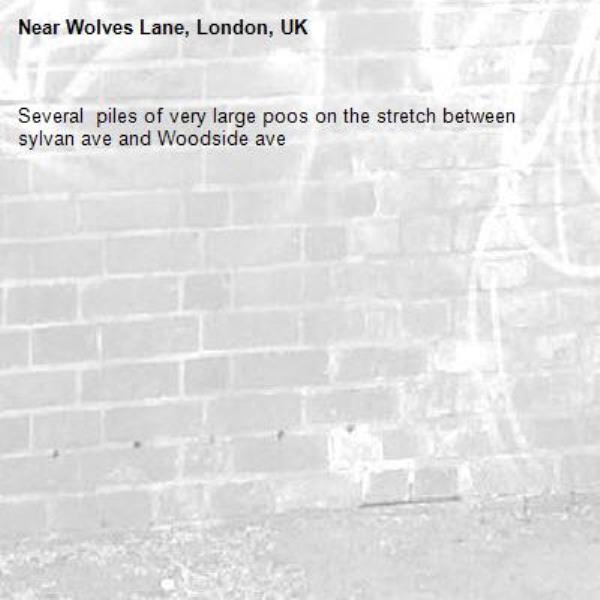 Several  piles of very large poos on the stretch between sylvan ave and Woodside ave-Wolves Lane, London, UK