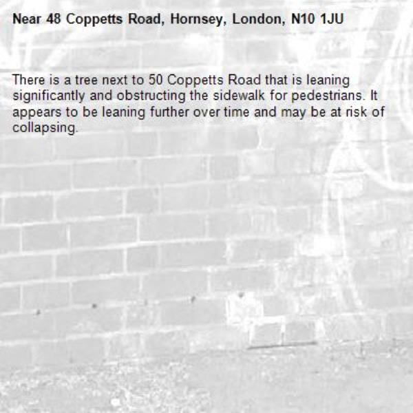 There is a tree next to 50 Coppetts Road that is leaning significantly and obstructing the sidewalk for pedestrians. It appears to be leaning further over time and may be at risk of collapsing.-48 Coppetts Road, Hornsey, London, N10 1JU