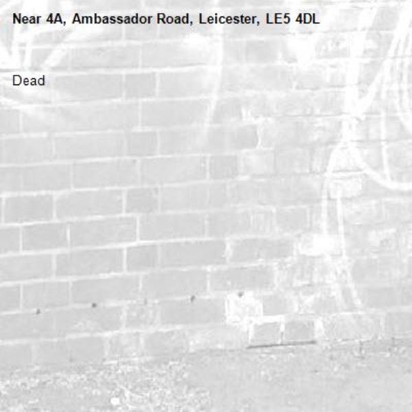 Dead -4A, Ambassador Road, Leicester, LE5 4DL
