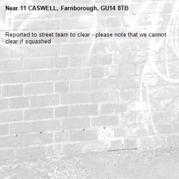 Reported to street team to clear - please note that we cannot clear if squashed-11 CASWELL, Farnborough, GU14 8TB
