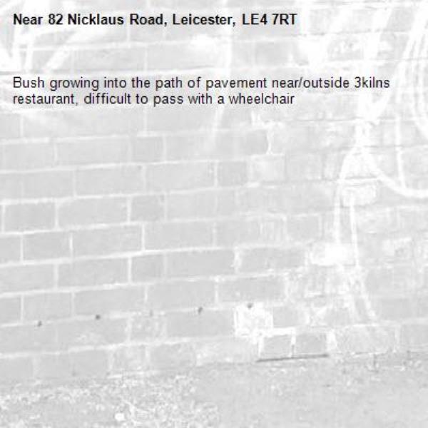 Bush growing into the path of pavement near/outside 3kilns restaurant, difficult to pass with a wheelchair -82 Nicklaus Road, Leicester, LE4 7RT
