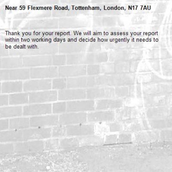 Thank you for your report. We will aim to assess your report within two working days and decide how urgently it needs to be dealt with.-59 Flexmere Road, Tottenham, London, N17 7AU