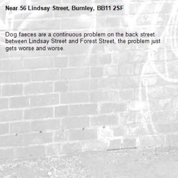 Dog faeces are a continuous problem on the back street between Lindsay Street and Forest Street, the problem just gets worse and worse.  -56 Lindsay Street, Burnley, BB11 2SF