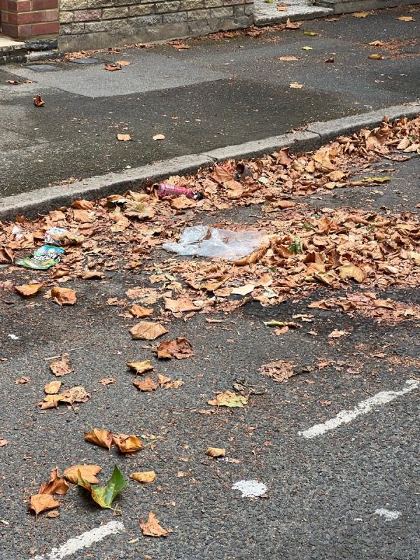 Litter on the road beside pedestrian needs to be swept -32 Denbigh Road, East Ham, E6 3LD