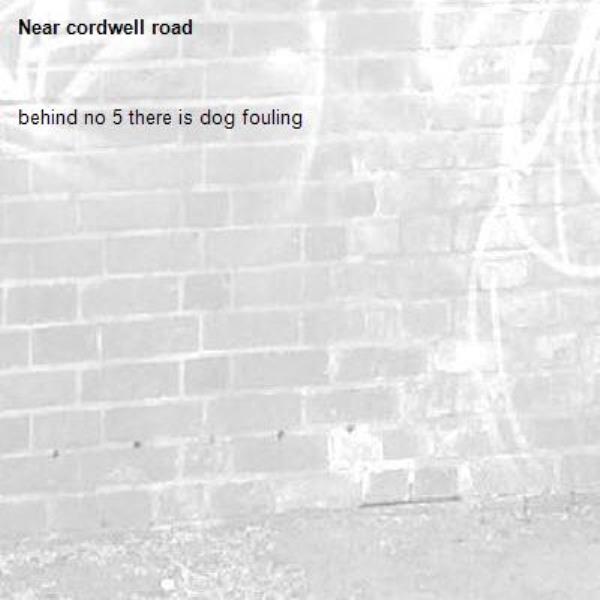 behind no 5 there is dog fouling-cordwell road
