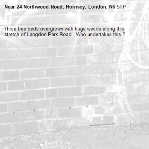 Three tree beds overgrown with huge weeds along this stretch of Langdon Park Road . Who undertakes this ? -24 Northwood Road, Hornsey, London, N6 5TP