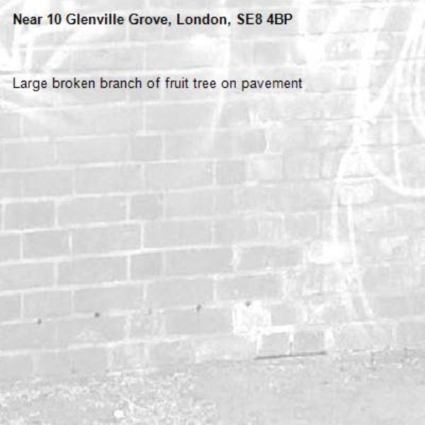 Large broken branch of fruit tree on pavement -10 Glenville Grove, London, SE8 4BP