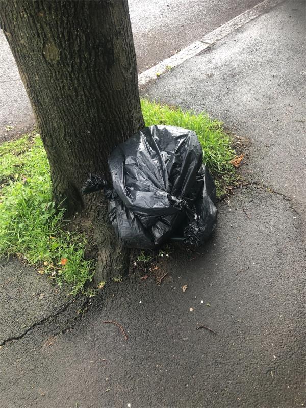 Please clear flytip bags from by tree-50 Glenbow Road, Bromley, BR1 4RL