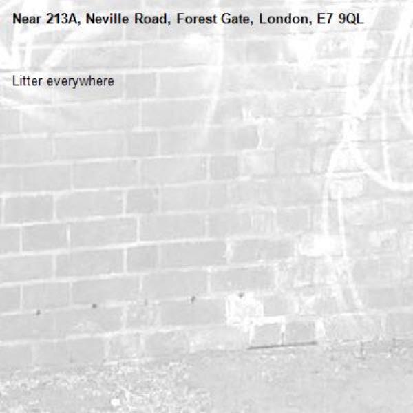 Litter everywhere -213A, Neville Road, Forest Gate, London, E7 9QL