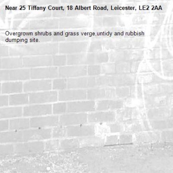 Overgrown shrubs and grass verge,untidy and rubbish dumping site.-25 Tiffany Court, 18 Albert Road, Leicester, LE2 2AA