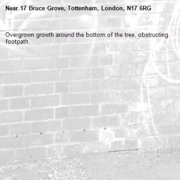 Overgrown growth around the bottom of the tree, obstructing footpath. -17 Bruce Grove, Tottenham, London, N17 6RG