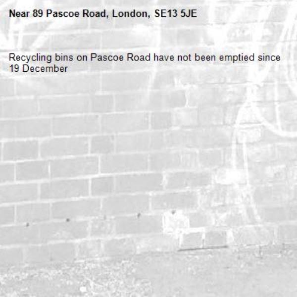 Recycling bins on Pascoe Road have not been emptied since 19 December-89 Pascoe Road, London, SE13 5JE